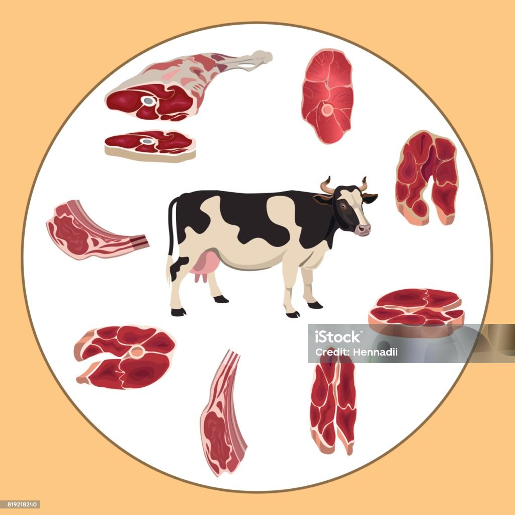 Cow and beef meat Set of beef meat. Vector illustration Dead Animal stock vector