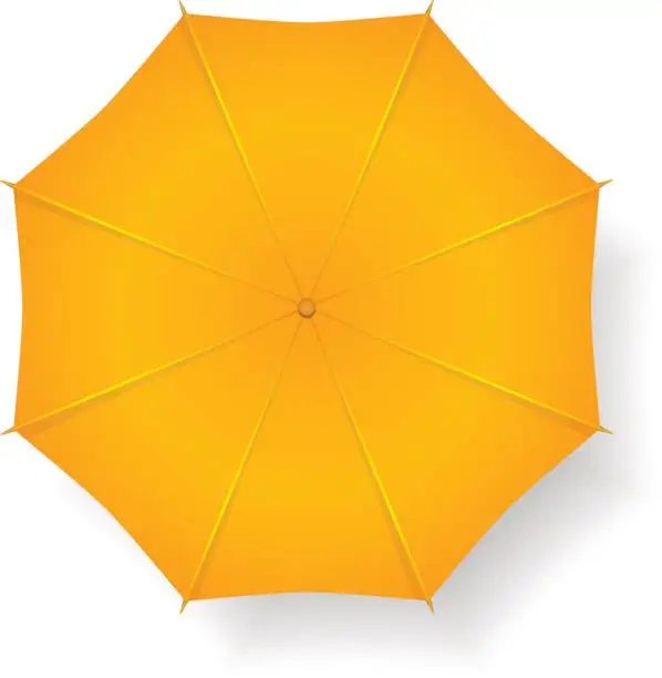 Vector illustration of Umbrella isolated on white