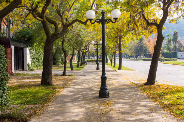Treelined Suburban Street In Santiago, Chile