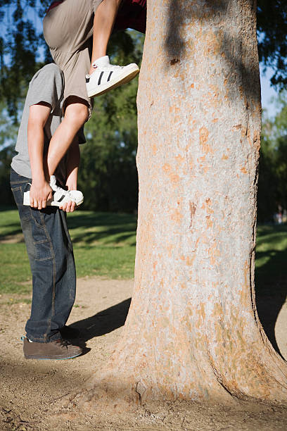 young boys climbing a tree  woodland hills los angeles stock pictures, royalty-free photos & images