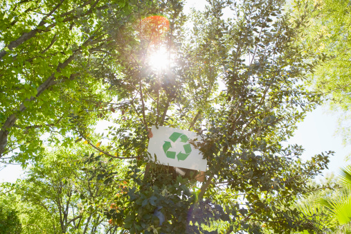 Close up of hand holding green recycle symbol. Recycle concept.