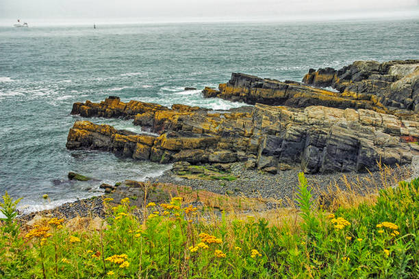 istock Portland Main Harbor Coastal Shoreline with Flowers 819289988