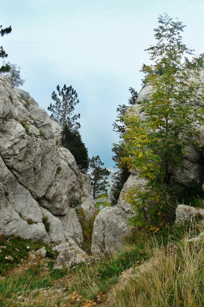 istock Views of Mount Ai-Petri 819290158