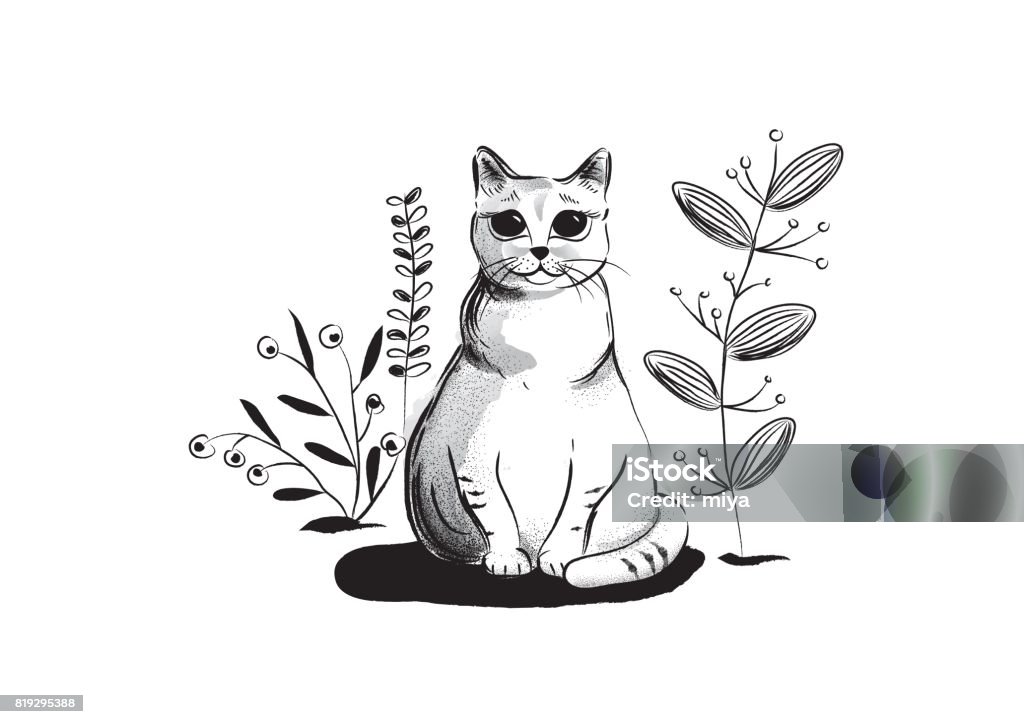 Ilustrasi Kucing Hitam Dan Putih Ilustrasi Stok - Unduh Gambar Sekarang