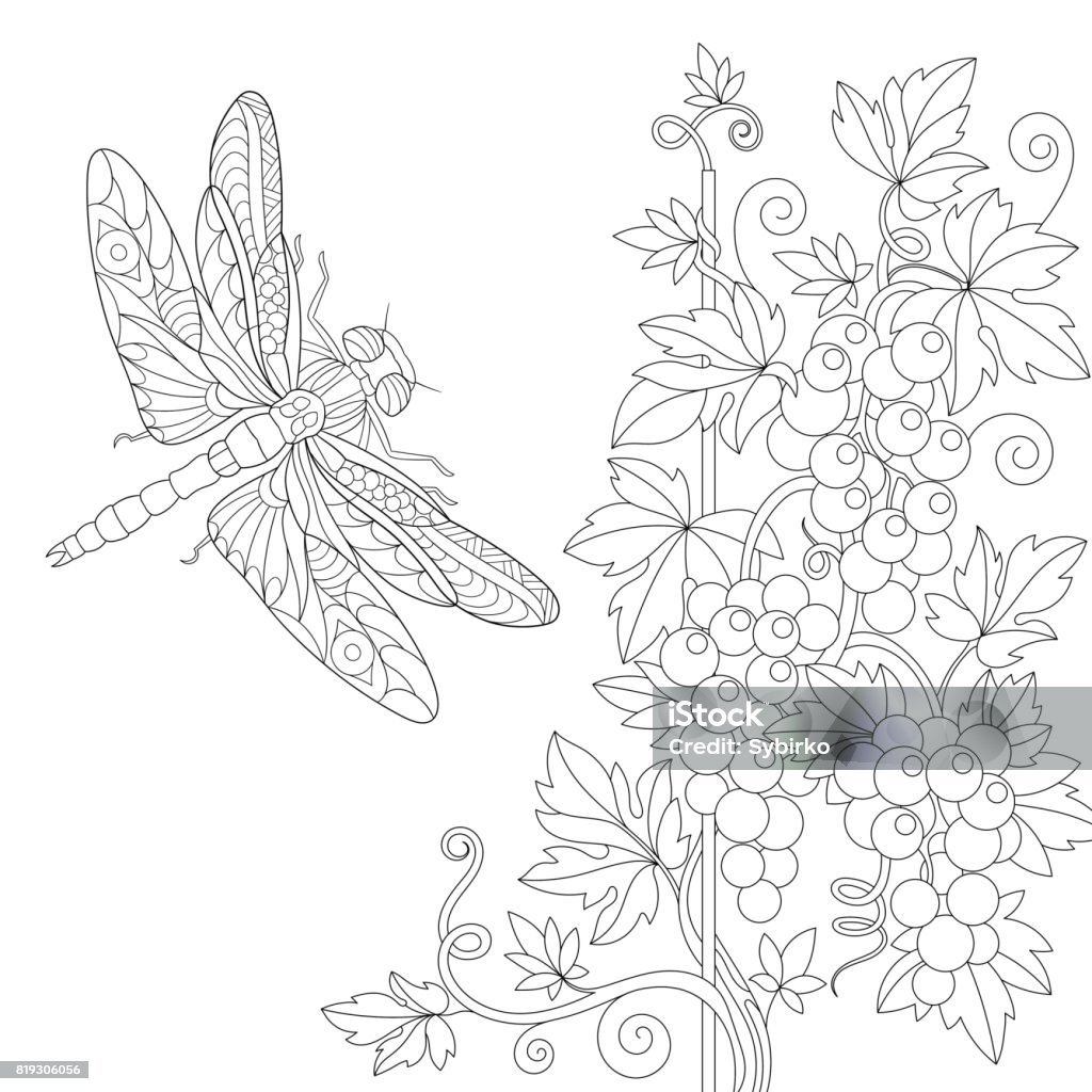 Dragonfly and grape vines Dragonfly and grape vines. Freehand sketch for adult coloring book page. Coloring stock vector