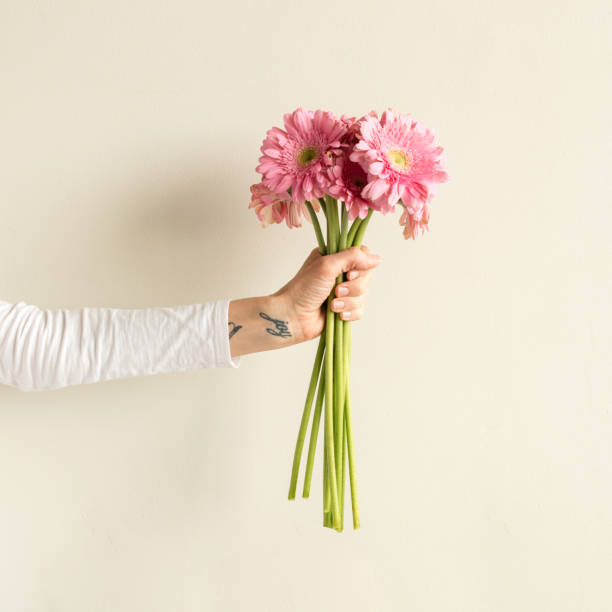 istock Woman holding pink gerberas (cropped) 819321720