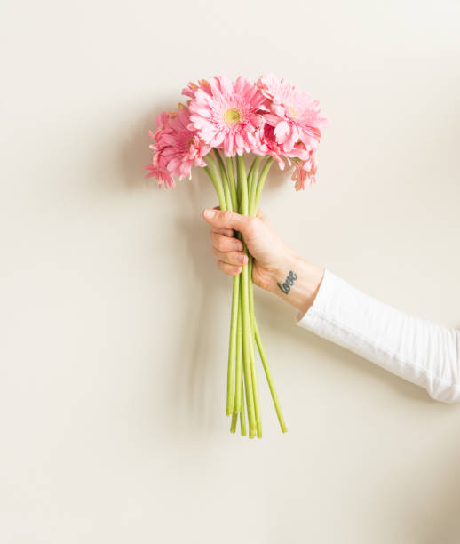 Woman holding pink gerberas (cropped)