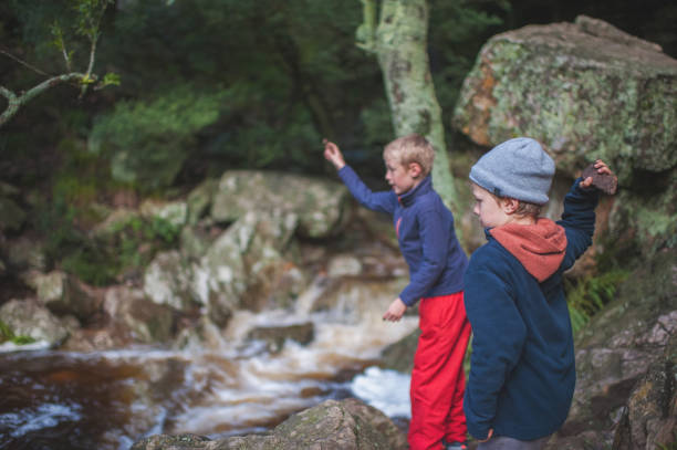 Two Young Boys throwing stones in a stream