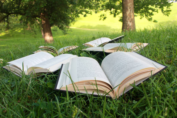 istock Hardback books lay open in a grassy field with trees in the background 819351868