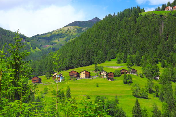 istock Springtime Green meadows and wildflowers, Idyllic Auronzo di cadore massif mountain range and Puster valley, dramatic sky sunrise dawn, dramatic panorama and majestic Dolomites, Italy tirol alps 819352312