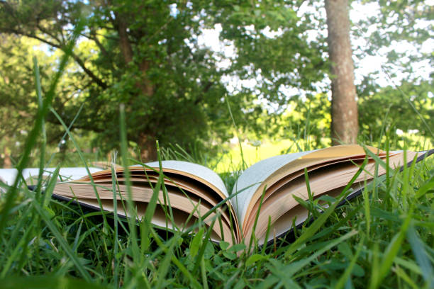 istock Hardback books lay open in a grassy field with trees in the background 819352486