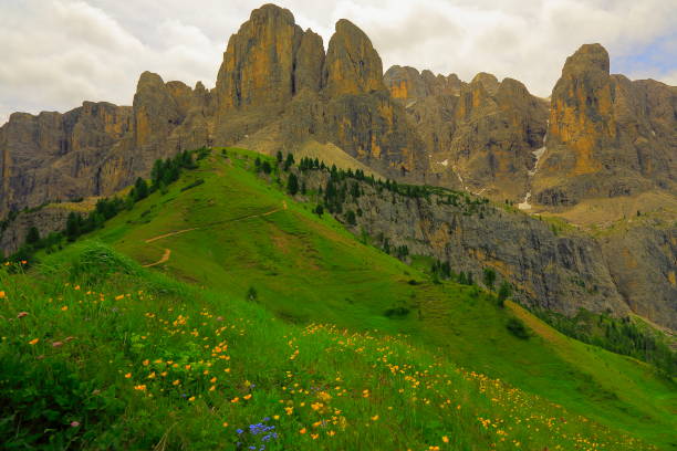 istock Springtime wildflowers green meadows and pinnacles, Auronzo di cadore massif mountain range and Puster valley, dramatic sky at moody sunrise dawn, dramatic panorama and majestic Dolomites, Italy tirol alps 819352848