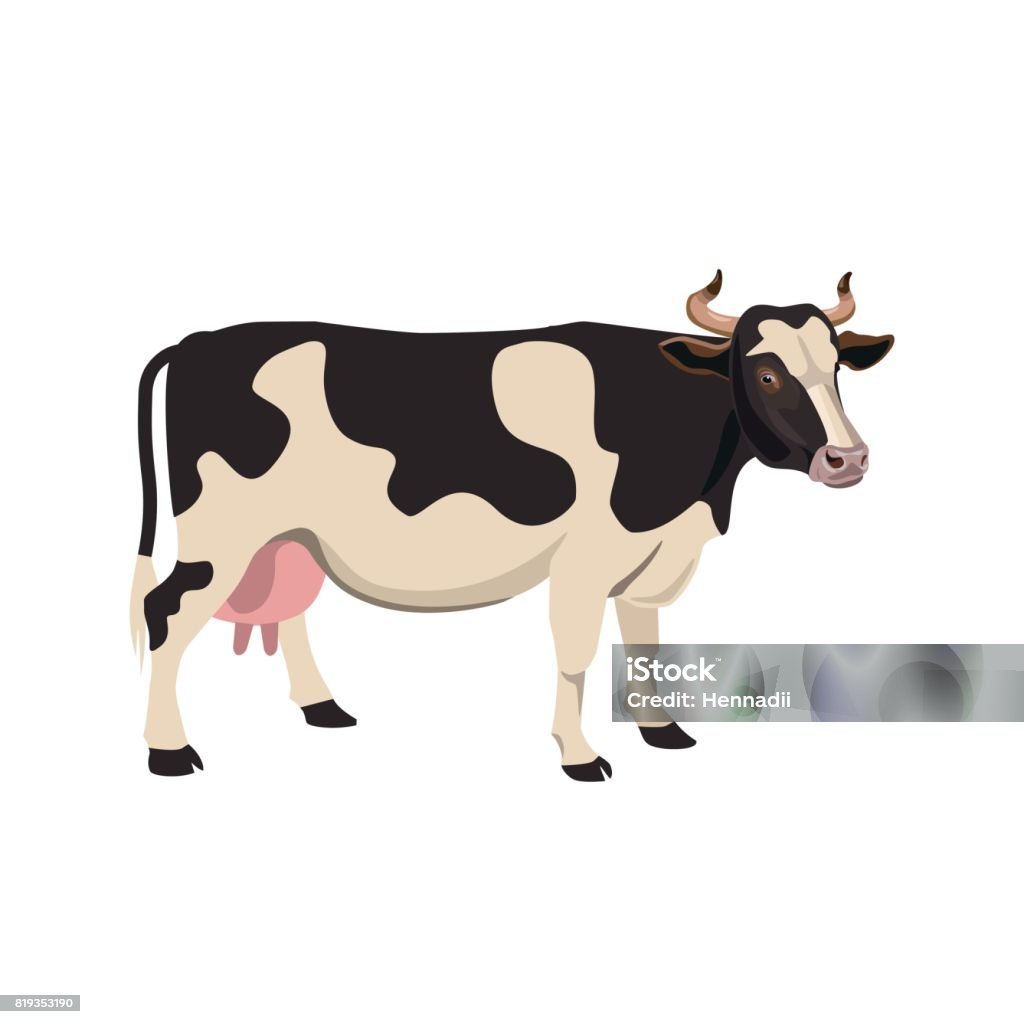Avistou o vetor de vaca - Vetor de Fêmea de mamífero royalty-free