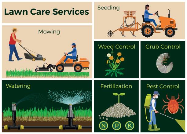 ilustrações de stock, clip art, desenhos animados e ícones de lawn care services - commercial sprinkler system