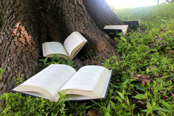 istock Open hardback books around the base of a large, old tree in early morning sunlight. 819360132