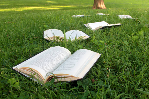 istock Hardback books lay open in a grassy field with trees in the background 819360306