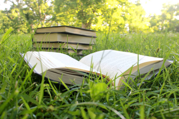 istock Hardback books lay open in a grassy field with trees in the background 819360644