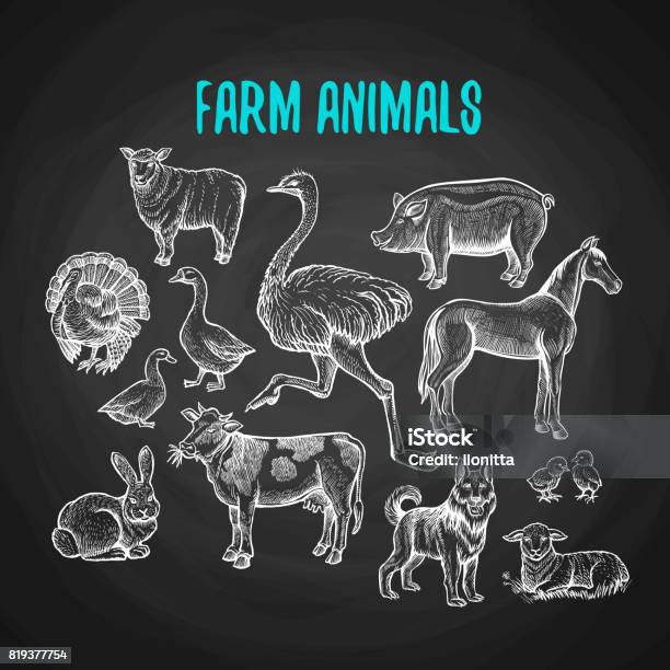 Set Of Farm Animals In Chalk Style On Blackboard Stock Illustration - Download Image Now - Chalkboard - Visual Aid, Pig, Horse