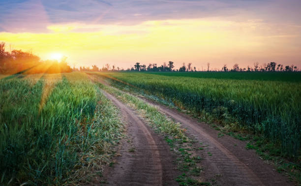 istock Beautiful sunset and road in green fields 819378084