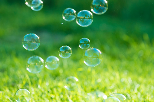 Soap Bubbles on green background