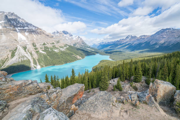 Peyto lake, Banff national park, Canada