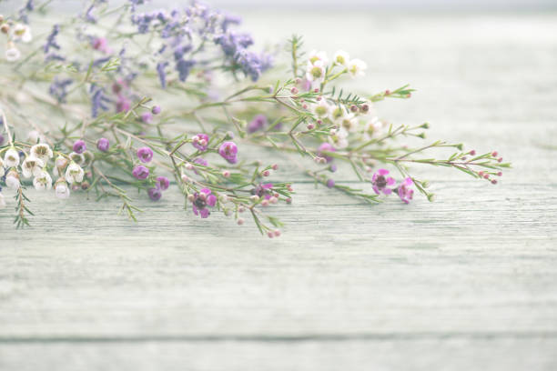 beautiful flowers heather on wooden background - small bouquet imagens e fotografias de stock