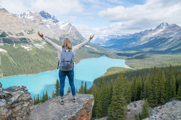 istock On top of Peyto lake 819402762