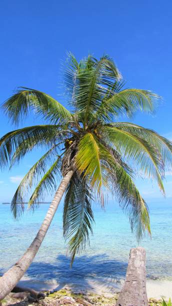 istock San Blas - Kuna Yala - Panama 819405254