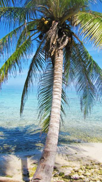 istock San Blas - Kuna Yala - Panama 819405298