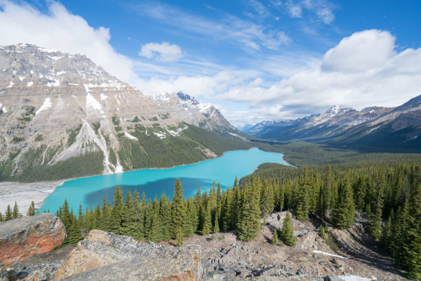istock Peyto lake, Banff national park, Canada 819405804
