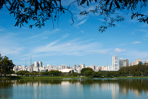 Sao Paulo view from Ibirapuera Park,  Brazil