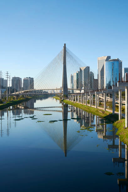 istock Stayed bridge in Sao Paulo, Brazil. 819415534
