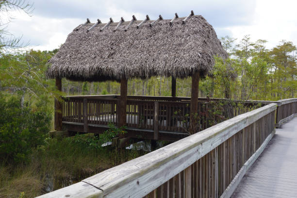 istock Hut - Everglades National Park 819453484