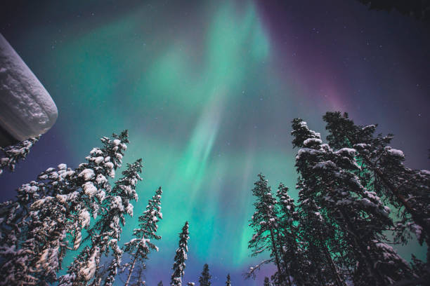 belle image de massif multicolore vert vibrant aurora borealis, aurora polaris, aussi connu sous l’aurores boréales dans le ciel nocturne au cours de l’hiver laponie, norvège, scandinavie - tromso lofoten and vesteral islands lofoten norway photos et images de collection