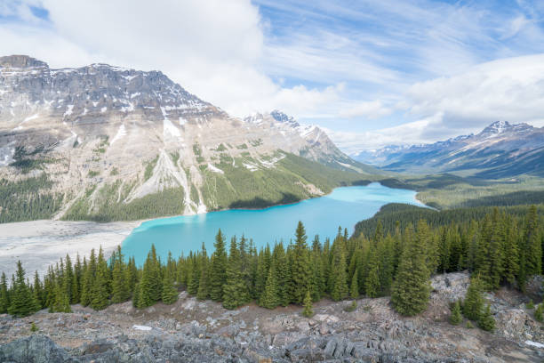 istock Peyto lake, Banff national park, Canada 819474252