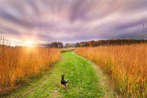 Can We Keep Going? Waunakee, Wisconsin, USA