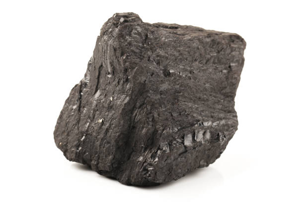 istock Chunk of Coal on a White Background 819484298