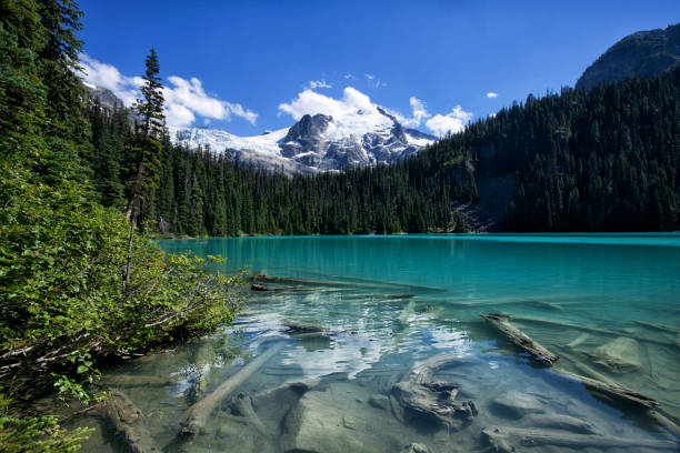istock Joffre Lakes in summer, BC, Canada 819501022