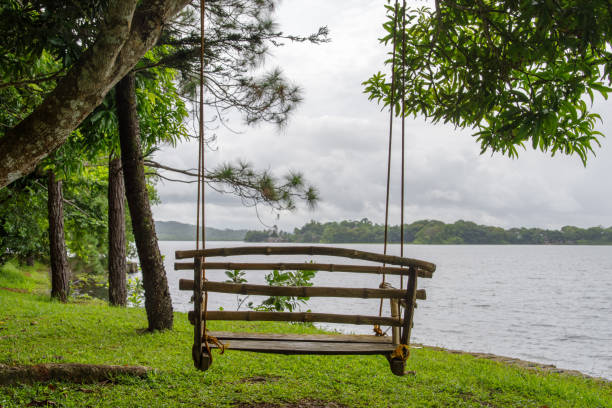istock A swing near the lake 819511702