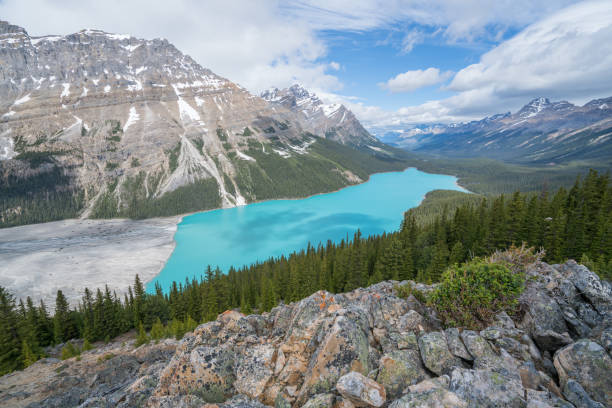 istock Peyto lake, Banff national park, Canada 819515920