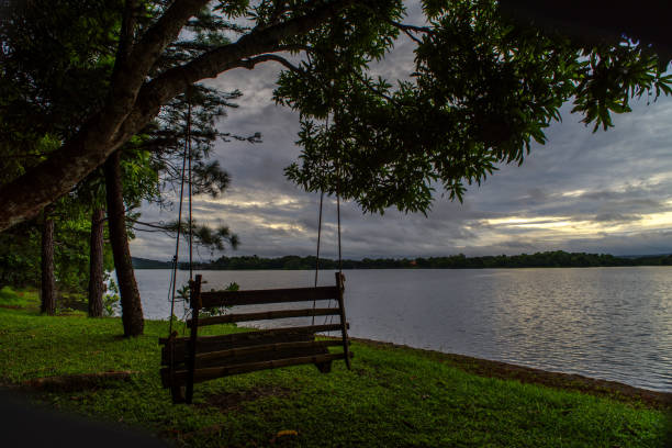 istock A swing near the lake 819516022