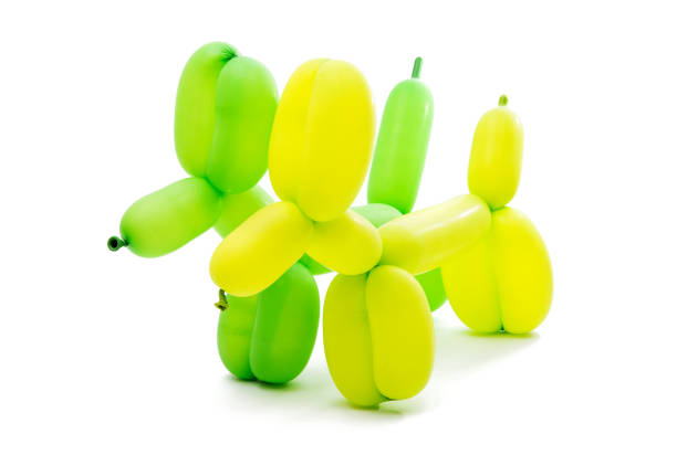 istock dogs of balloons 819516098