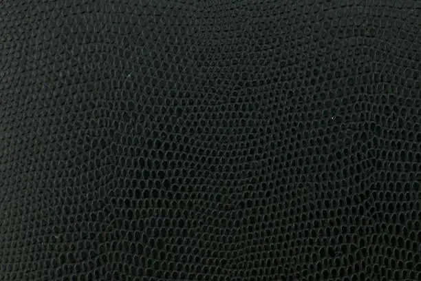 Photo of Black snake Leather background texture