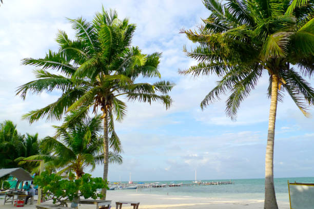 istock Caye Cauker city 819519242
