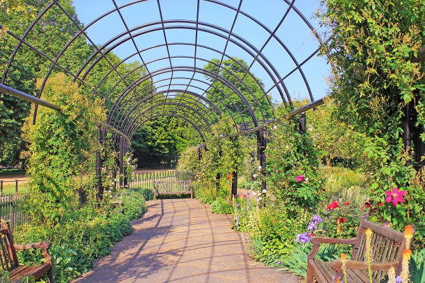 Rose Garden at Hyde Park, London metal pergola at the Rose Garden, situated in the south-east corner of Hyde Park, London hyde park flowers stock pictures, royalty-free photos & images