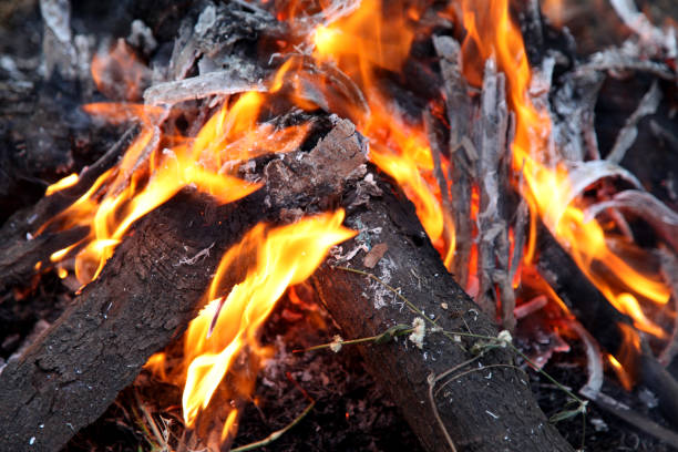 istock Burning firewood in the fireplace close up 819548262