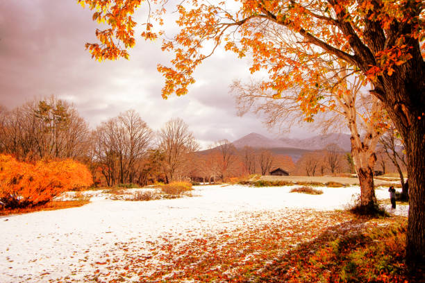 aomori prefecture, Tohoku region, Japan with nice background The aomori prefecture, Tohoku region, Japan with nice background hakkoda mountain range stock pictures, royalty-free photos & images