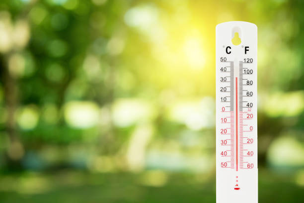 thermometer on a green nature background and temperature measuring, environment concept.