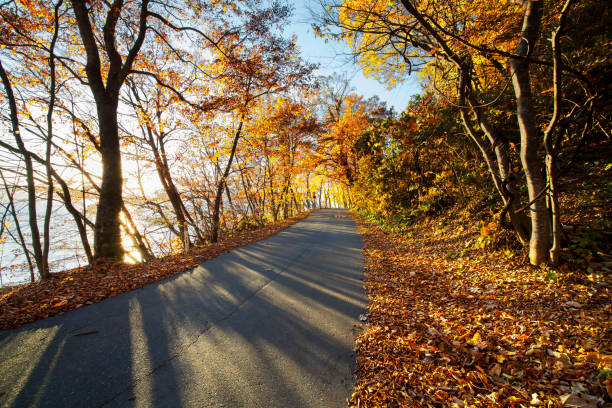 The aomori prefecture, Tohoku region, Japan with nice background