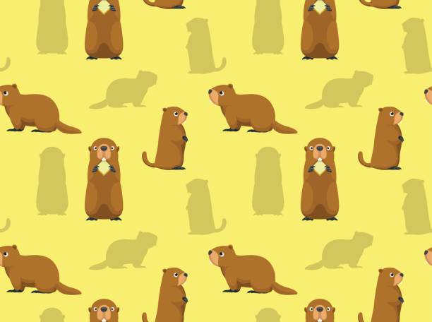 ilustraciones, imágenes clip art, dibujos animados e iconos de stock de fondo de pantalla de linda marmota - groundhog day